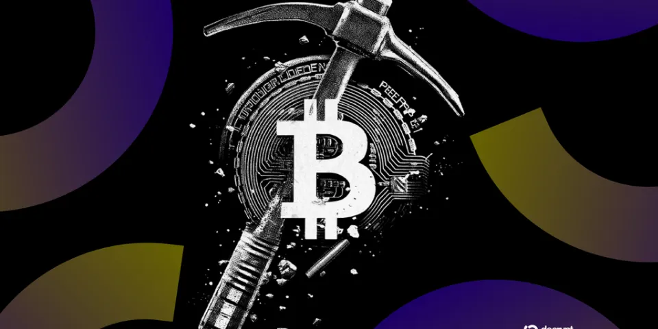 果蝇大脑能挖比特币吗?这些公司正在进行测试