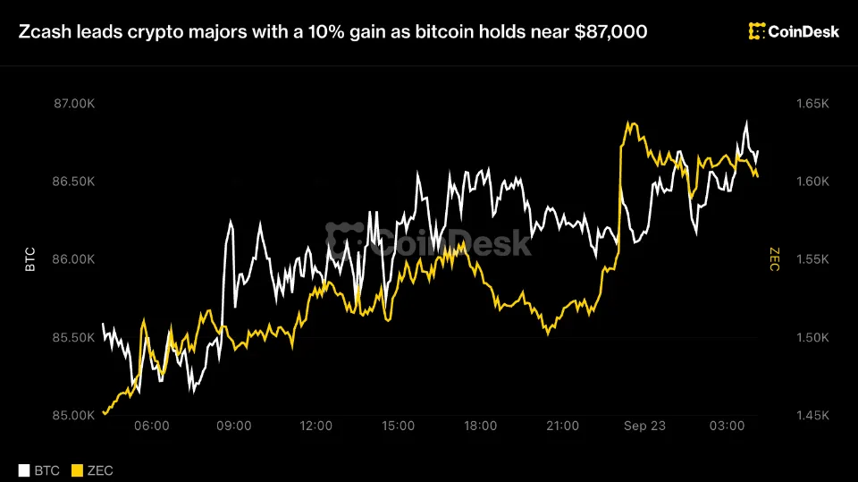 比特币守在 87,000 美元附近,Zcash 涨幅领跑主流加密货币